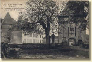 CD019