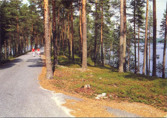 FI002.jpg