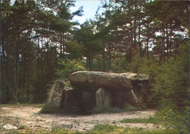 FR037