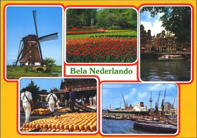NL001.jpg
