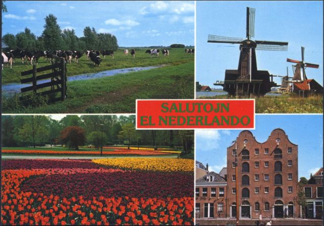 NL006
